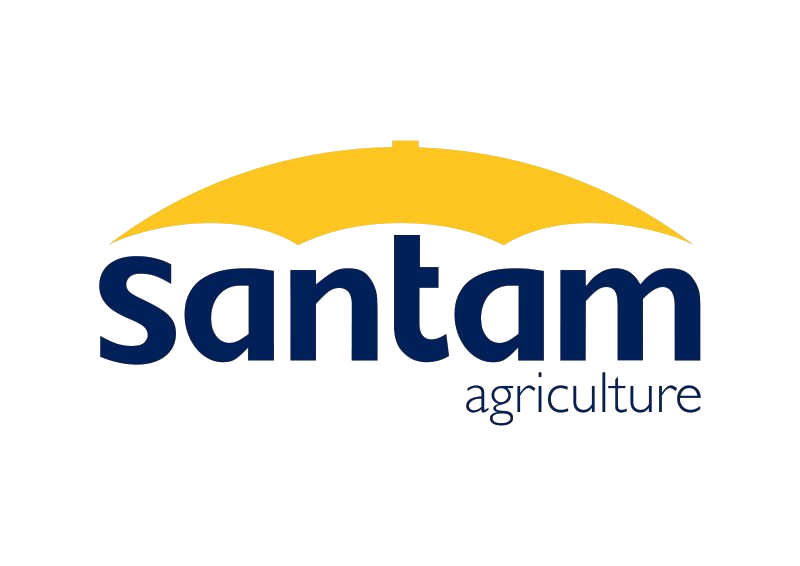 Santam